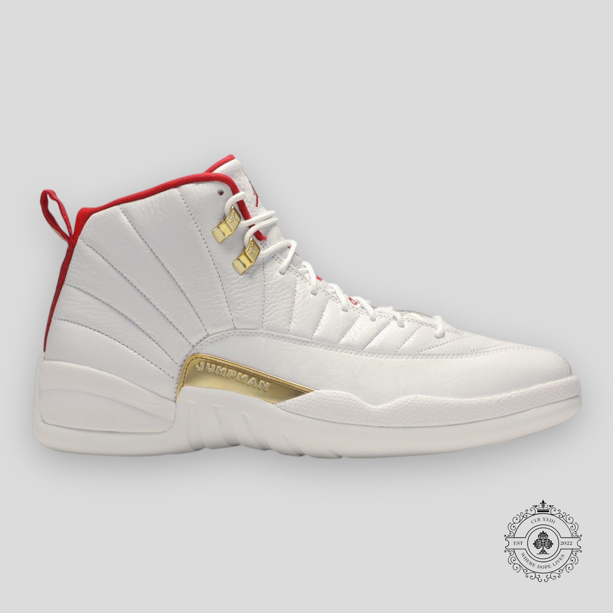 Air Jordan 12 Retro Fiba 2019