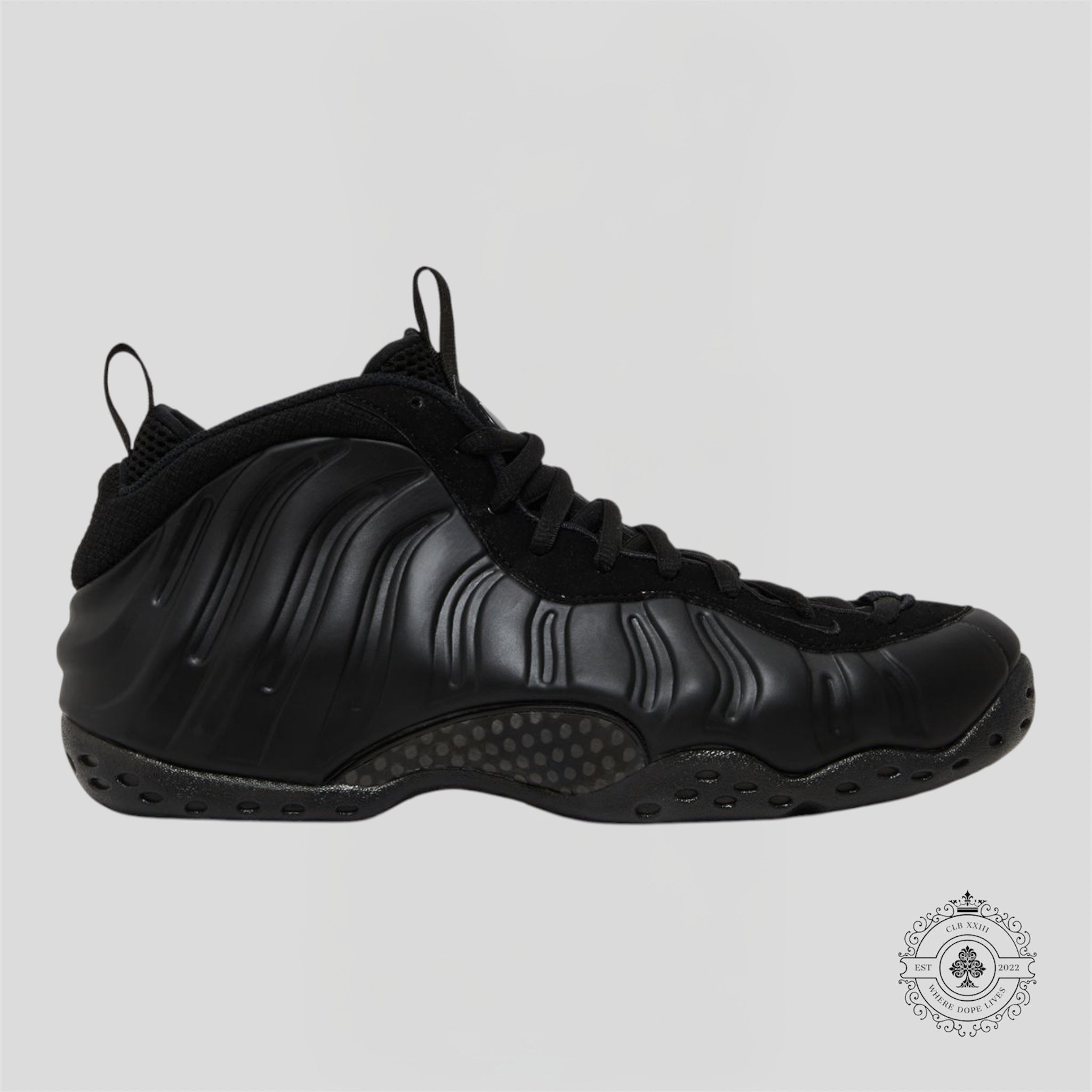 Nike Air Foamposite One Anthracite 2023