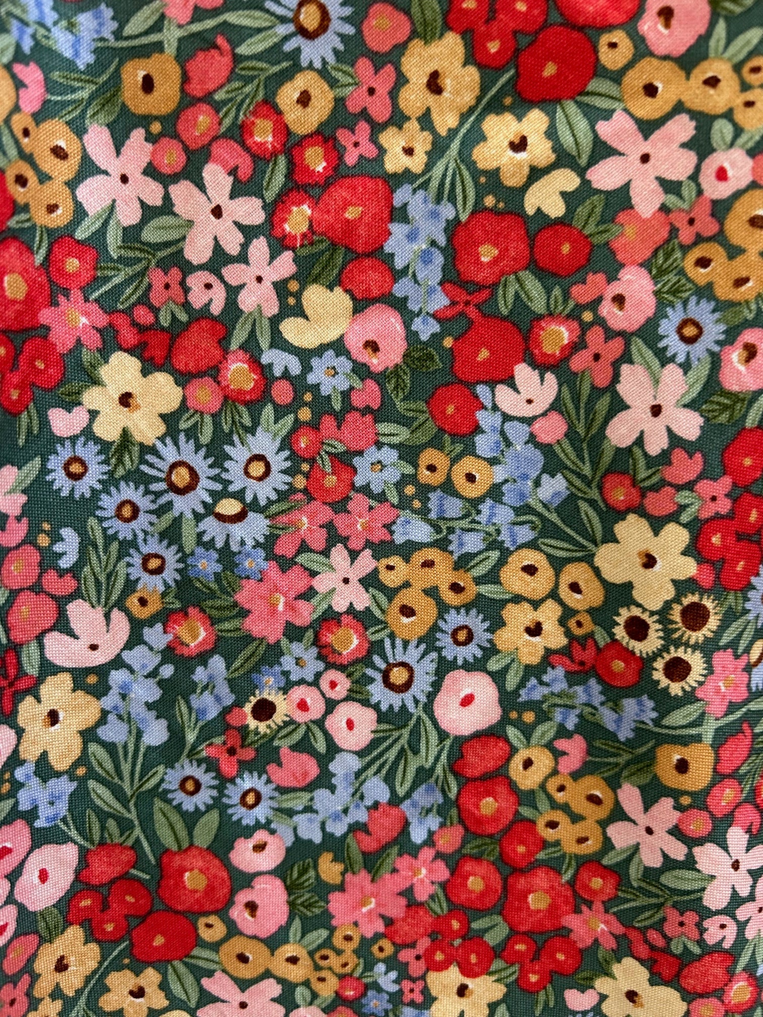 Colorful Floral Vintage Dress - Plus Sizes only