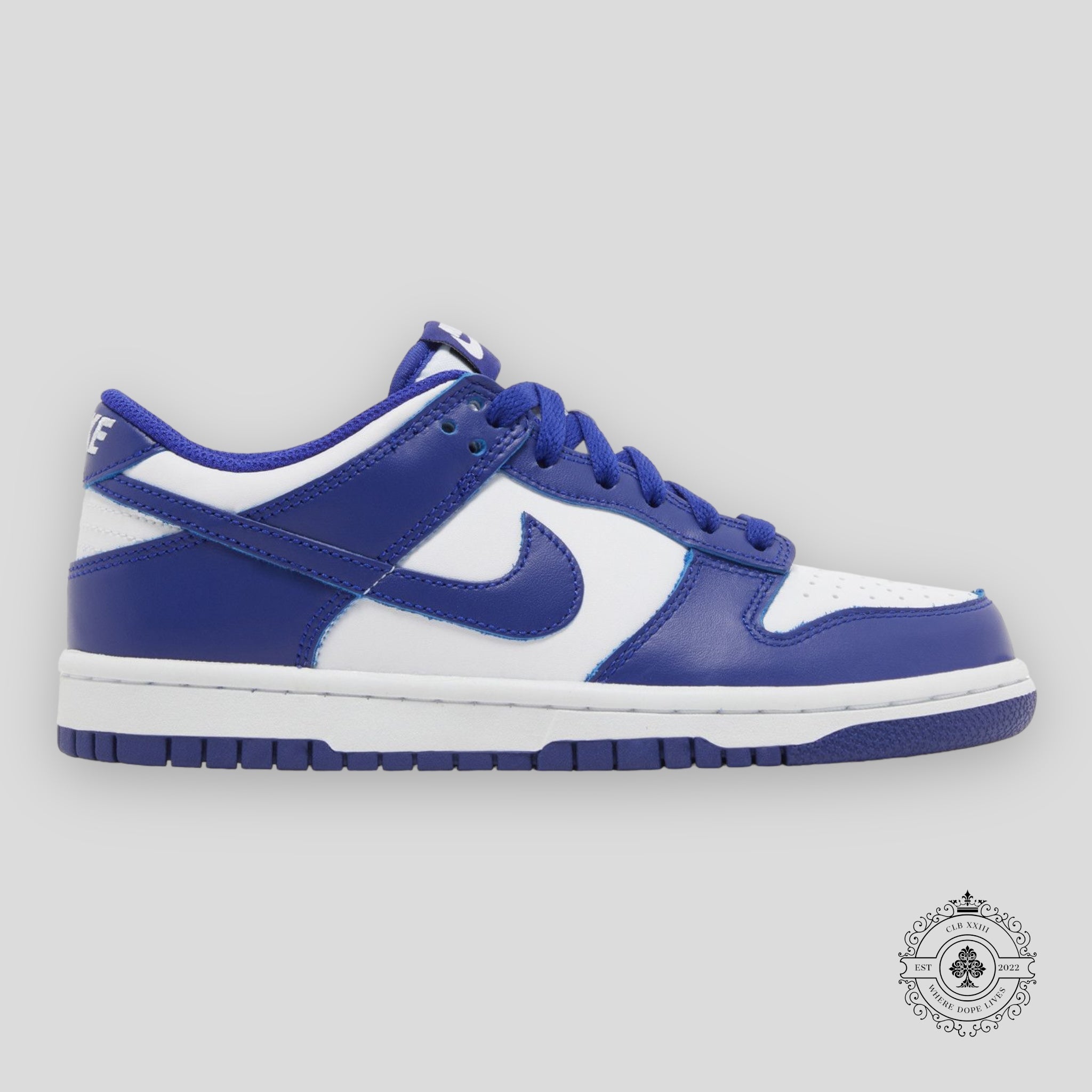 Nike Dunk Low Concord GS