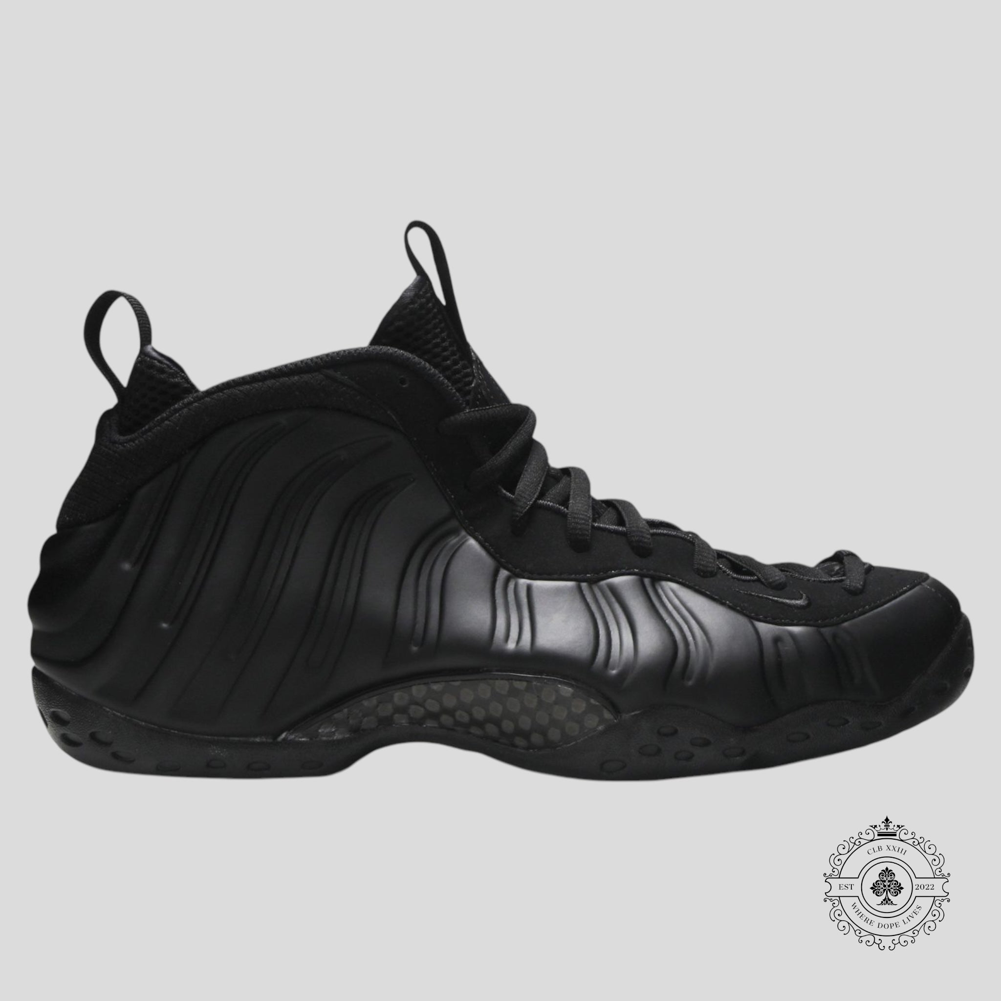 Nike Air Foamposite One Anthracite 2020