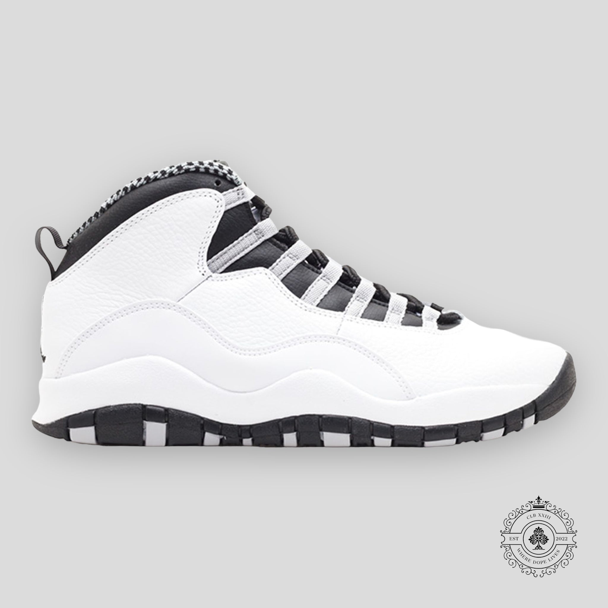 Air Jordan 10 Retro Steel 2013