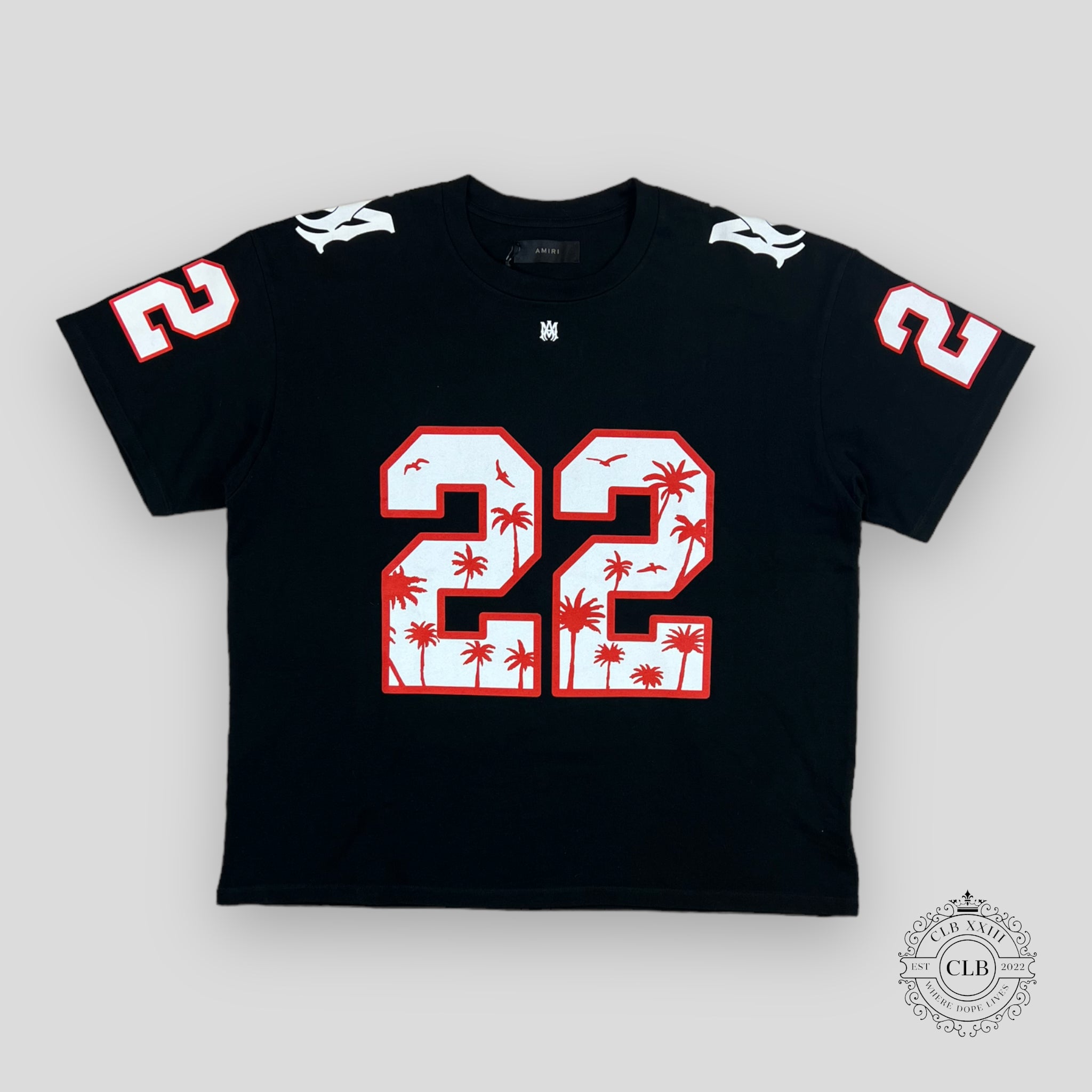 Amiri Oversized 22 Football Tee
