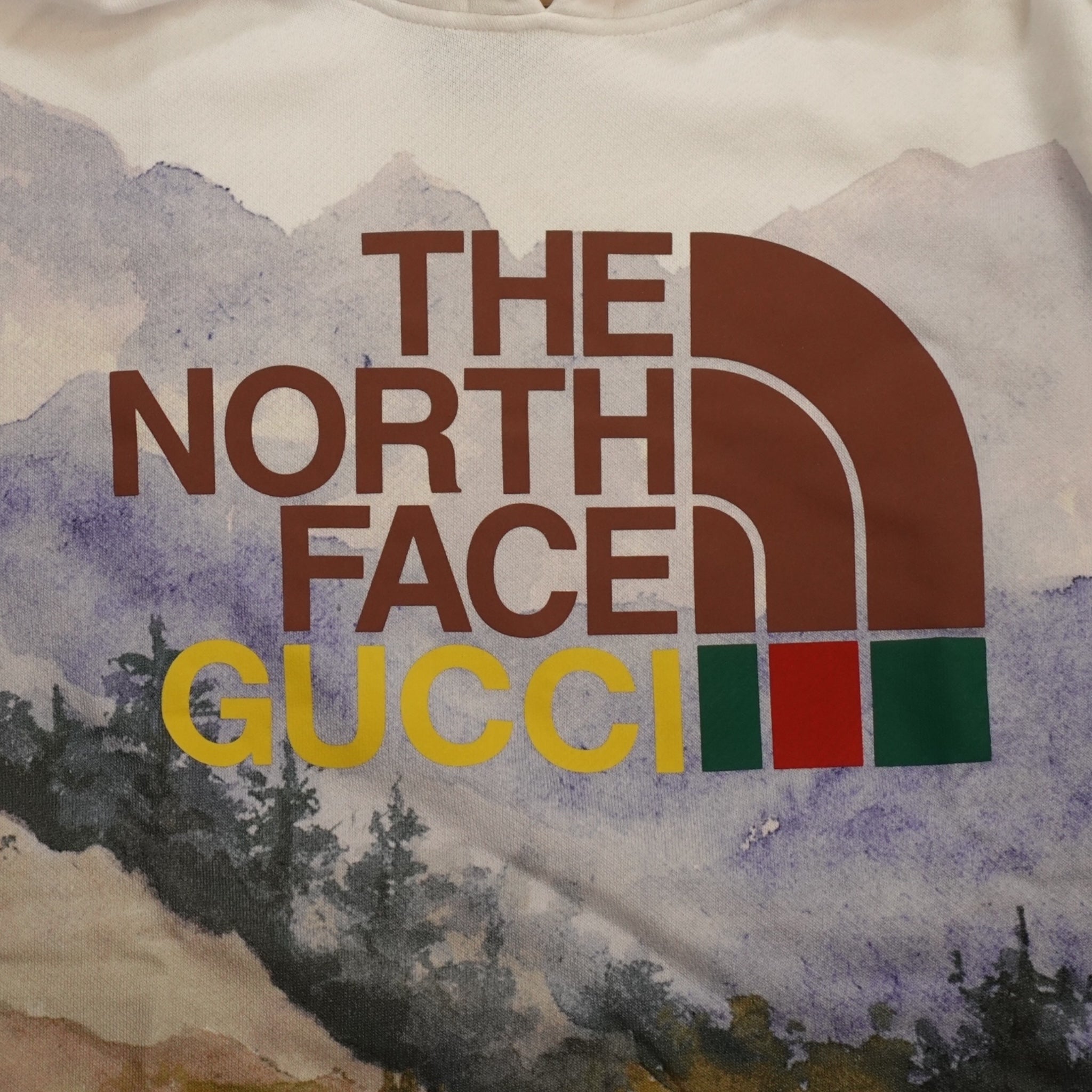 Gucci x the North Face Trail Print Hoodie in Multicolor