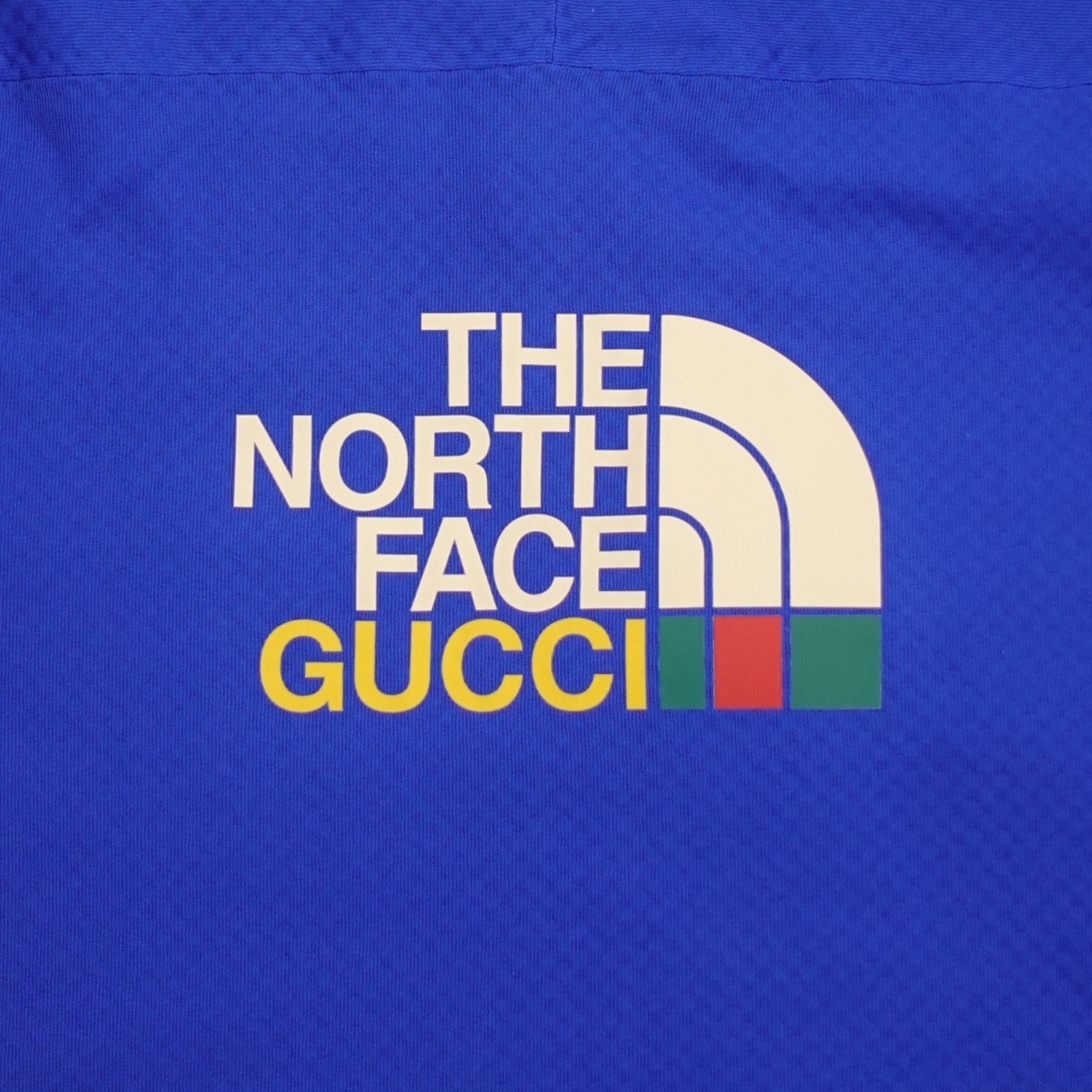 Gucci x the North Face Half Zip Pullover Hoodie in Blue