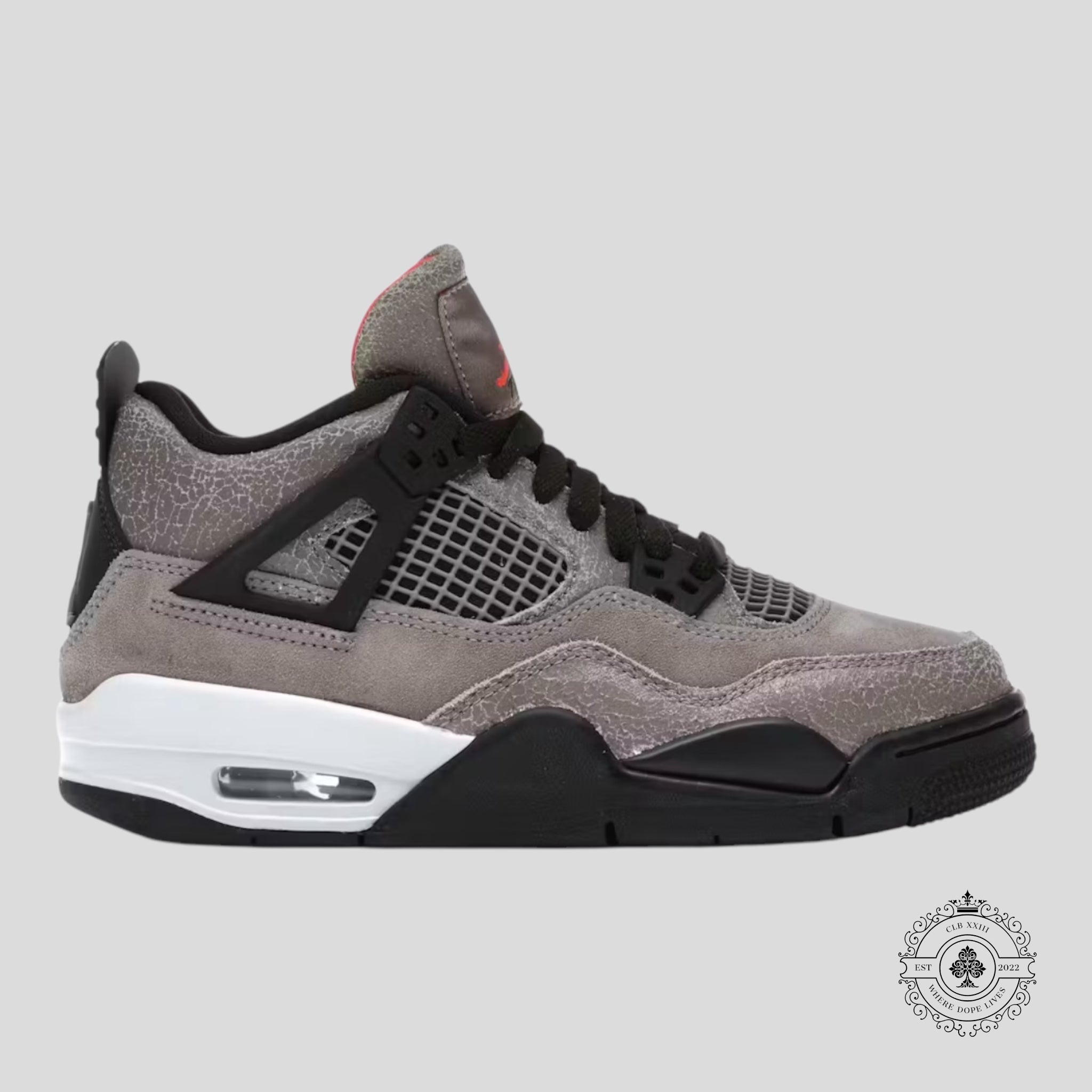 Air Jordan 4 Retro Taupe Haze GS