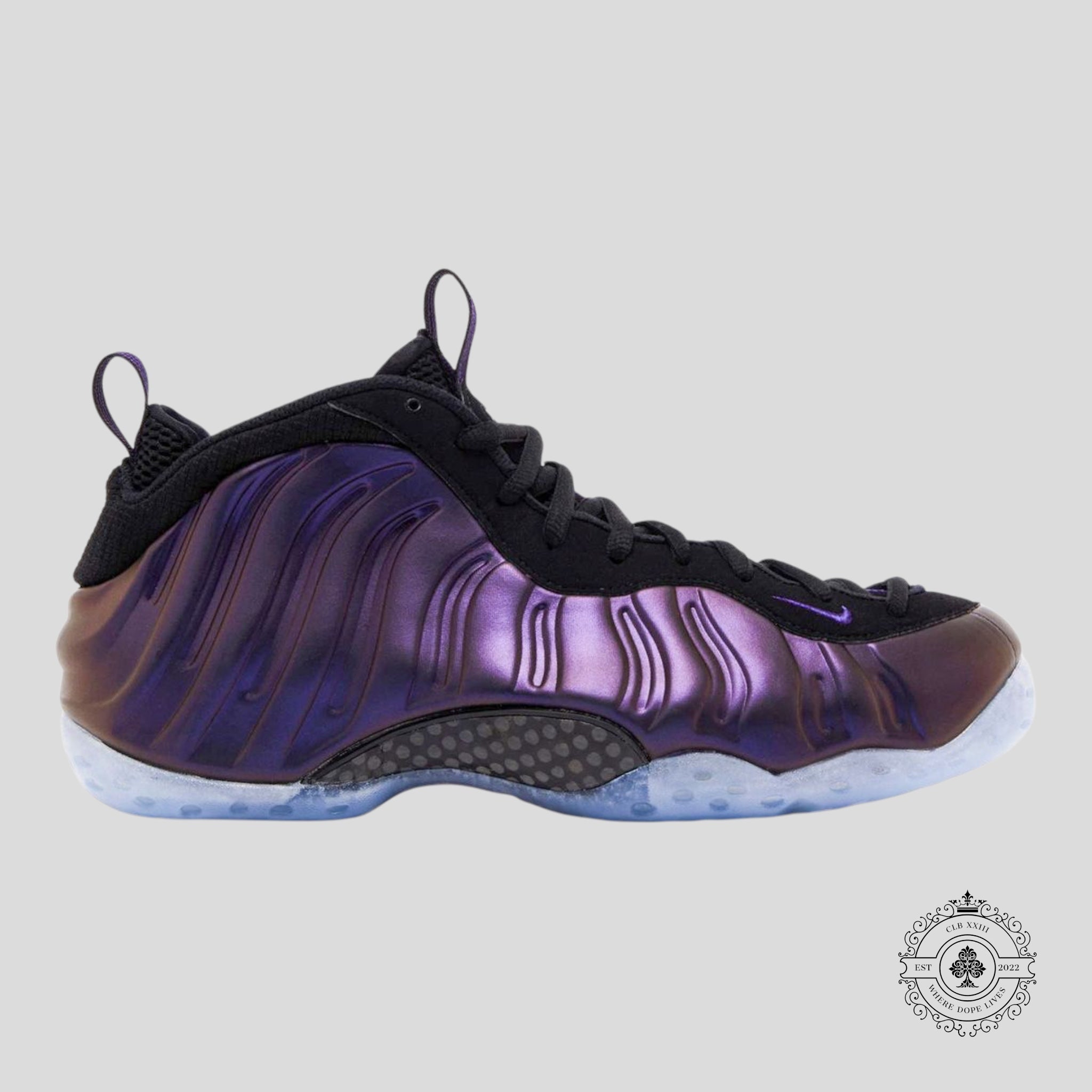 Nike Air Foamposite One Eggplant 2024