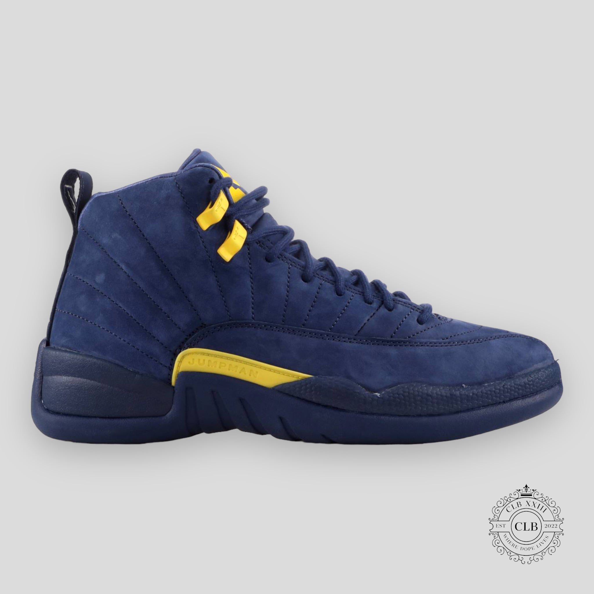 Air Jordan 12 Retro Michigan