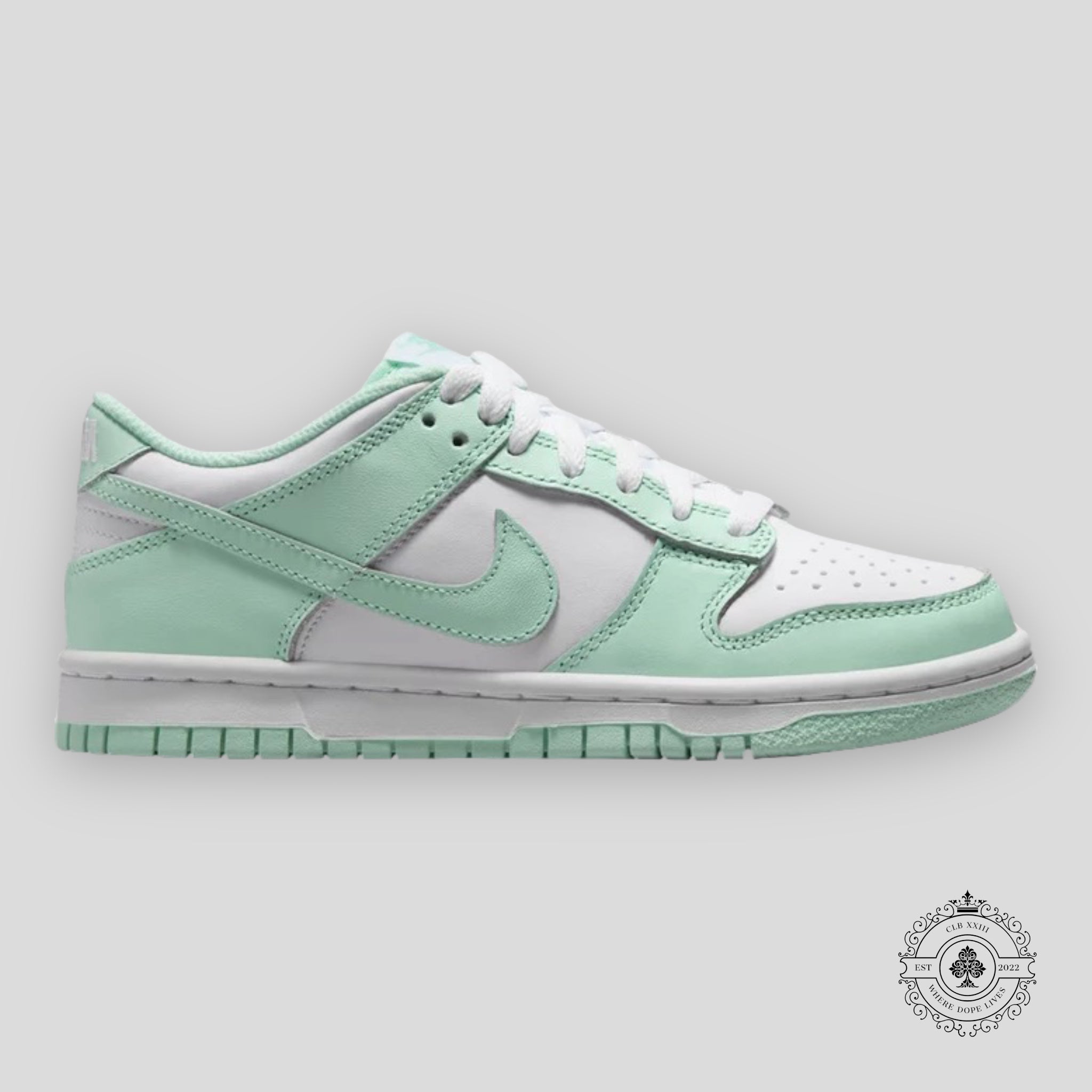 Nike Dunk Low GS Mint Foam