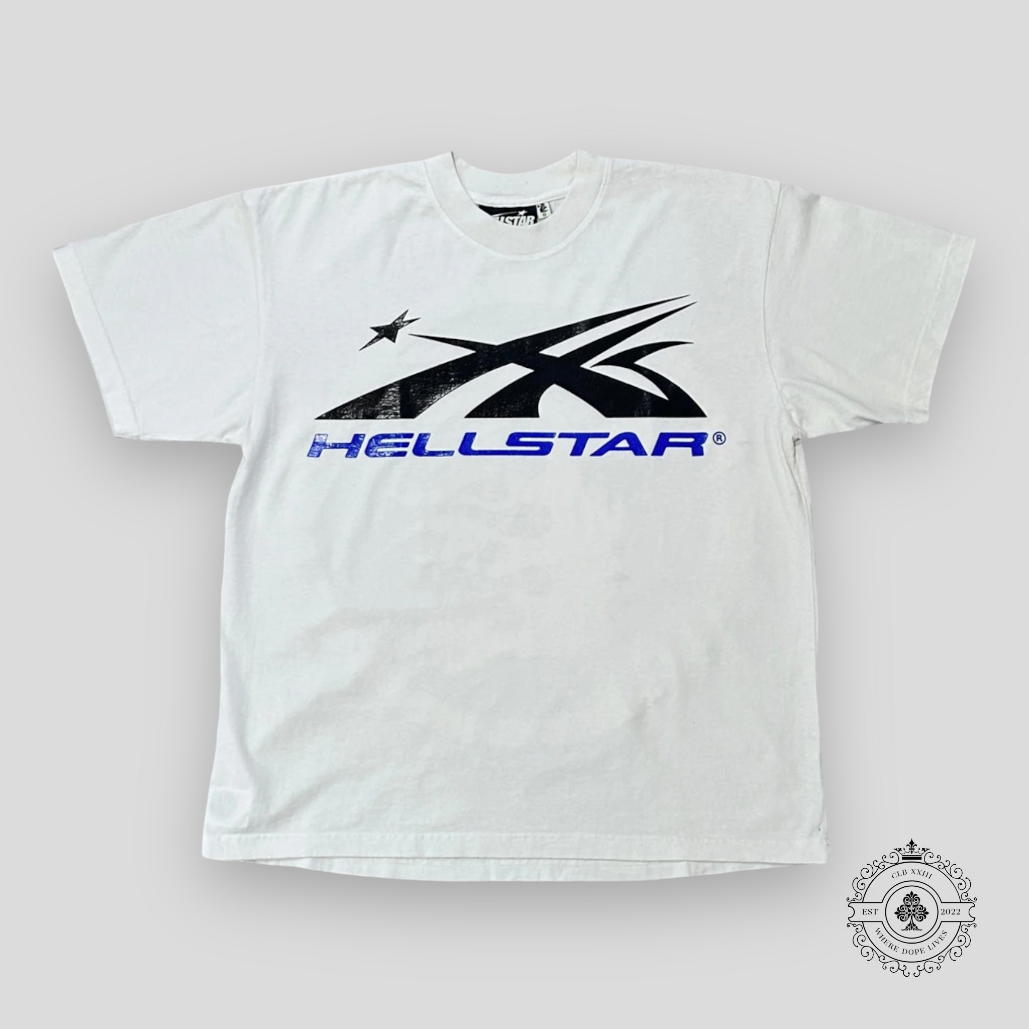 Hellstar Gel Sport Logo T-Shirt in White/Blue