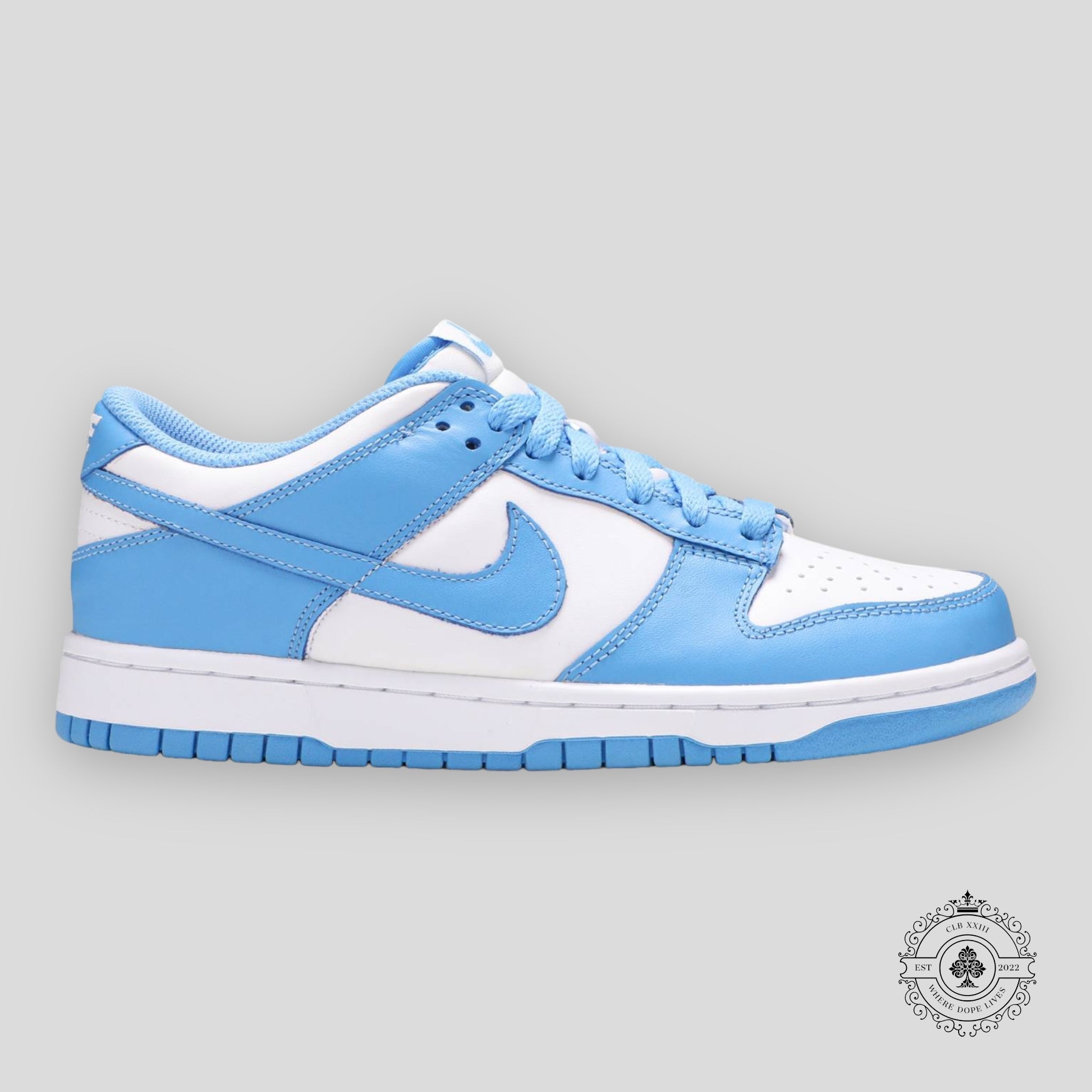 Nike Dunk Low GS UNC