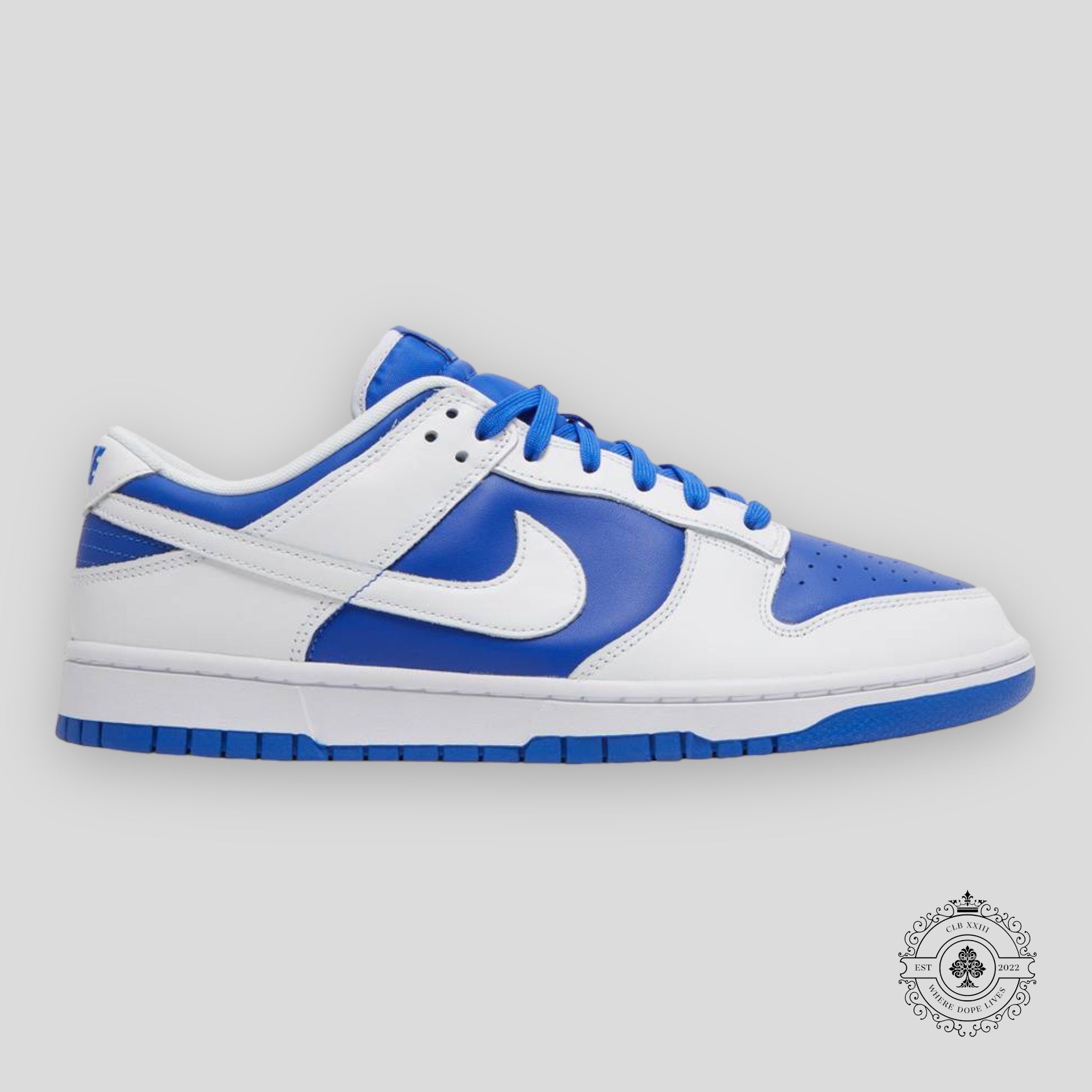 Nike Dunk Low racer Blue White