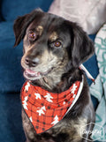 Pet Bandana Plaid Red