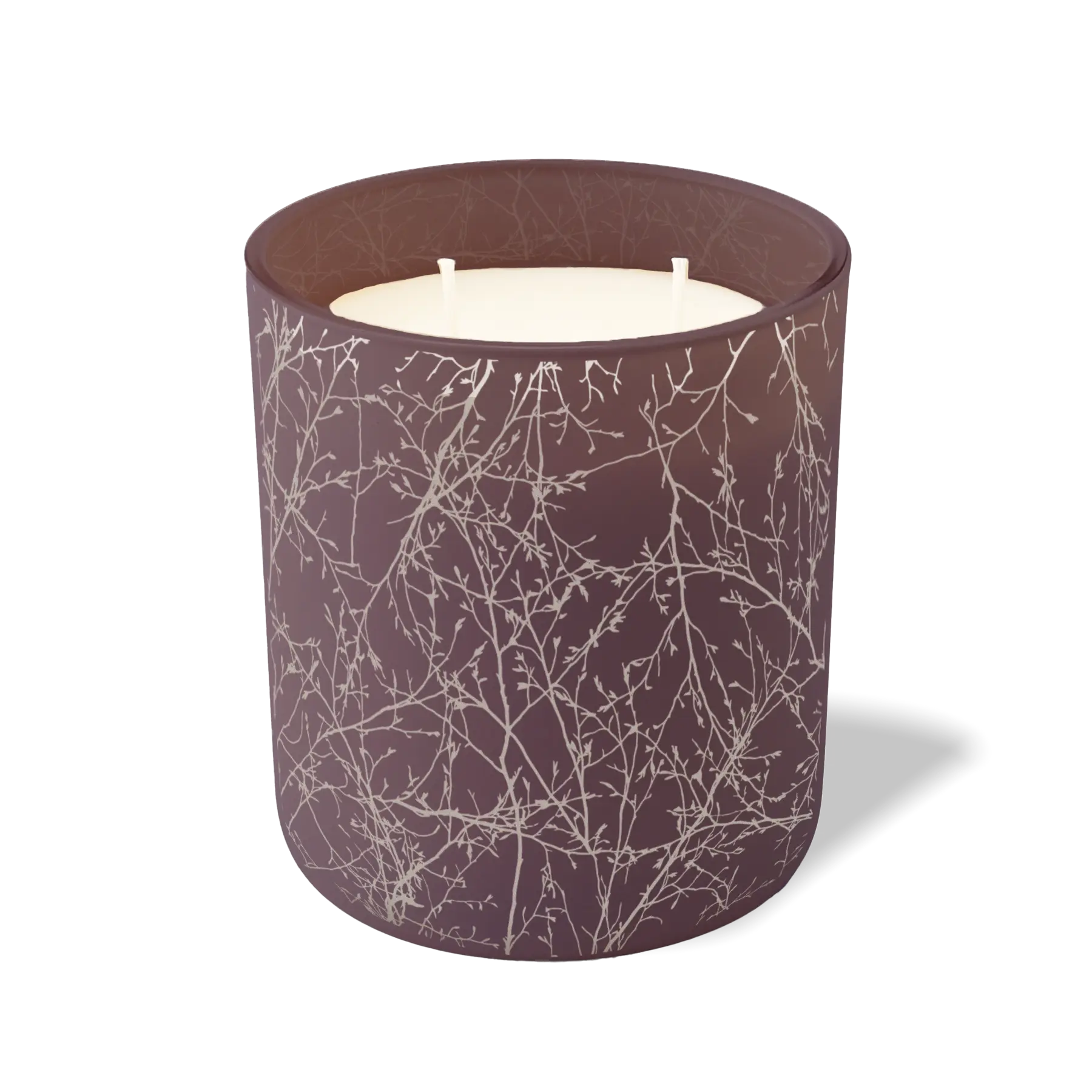 Branches | 12 oz Candle