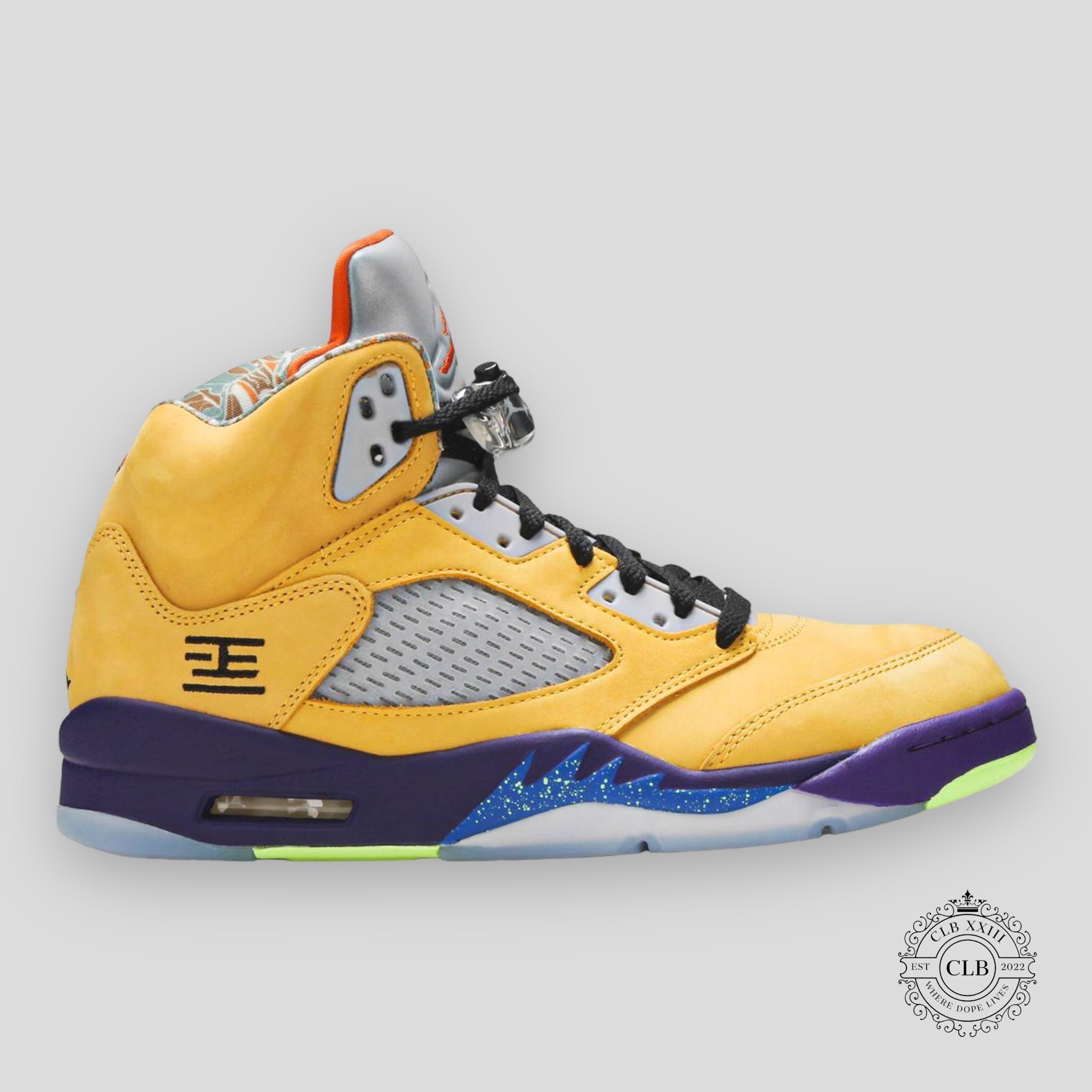 Air Jordan 5 Retro What the