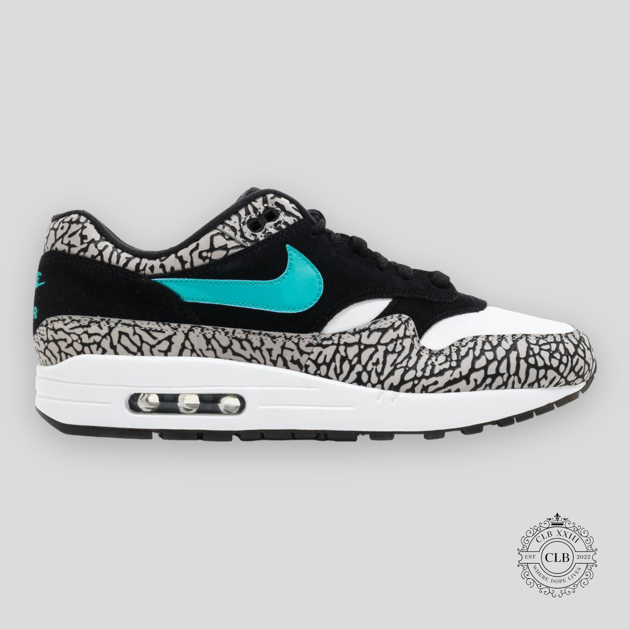 Nike Air Max 1 Atmos x Air Jordan