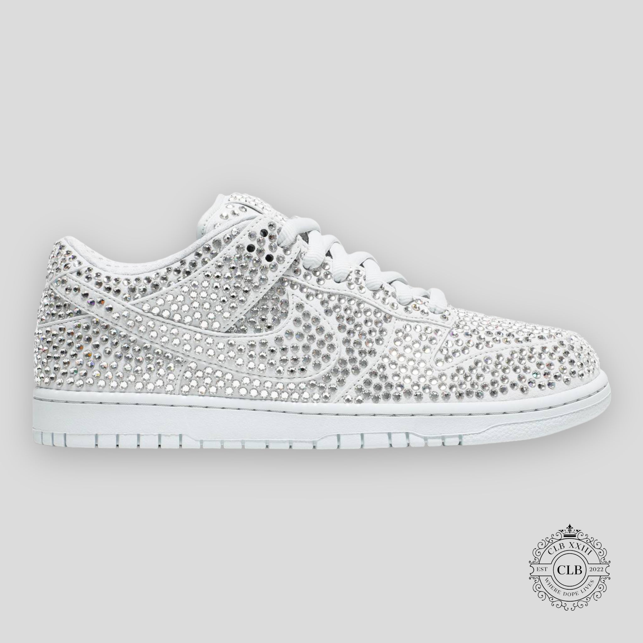 Nike Dunk Low x Cpfm Pure Platinum
