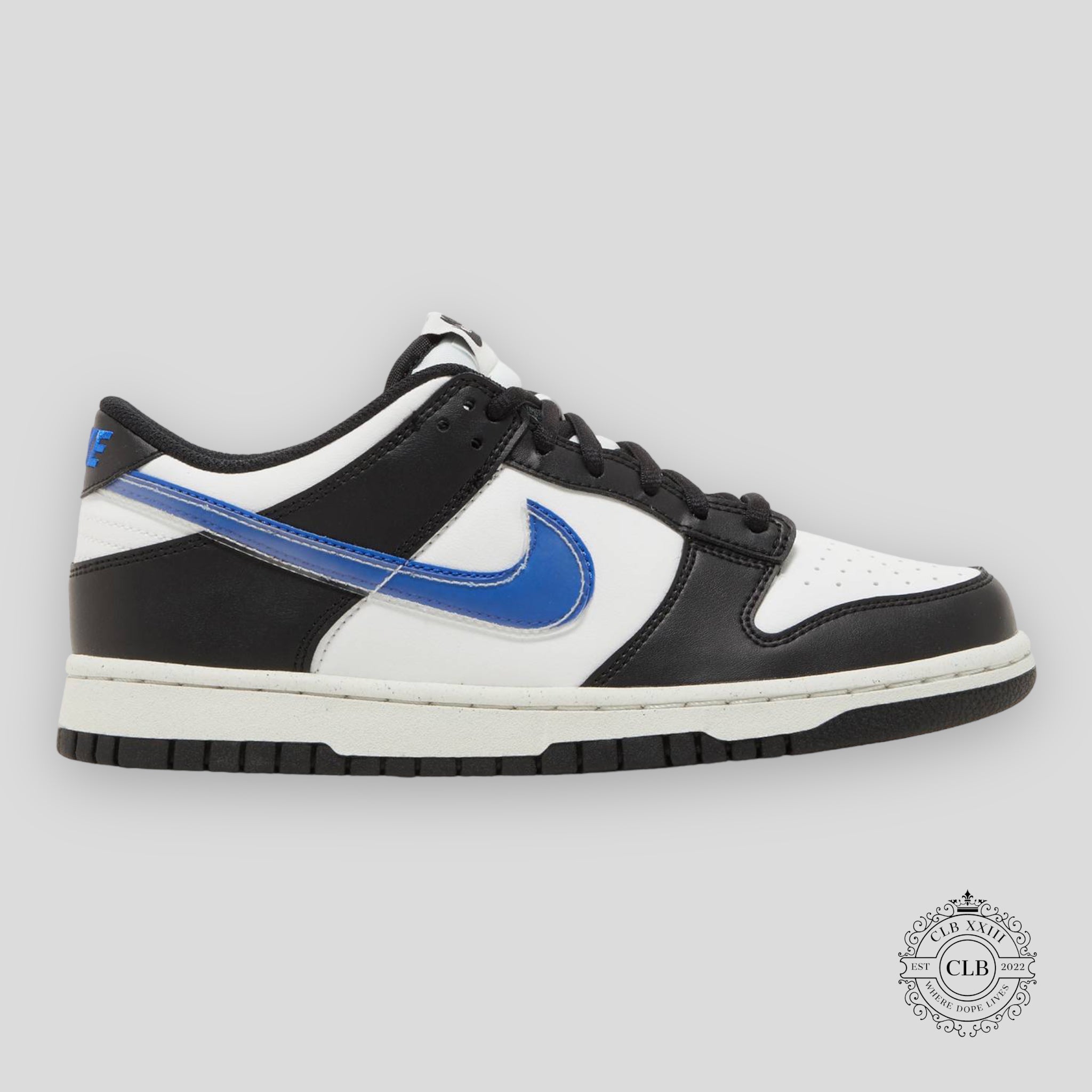 Nike Dunk Low Next Nature GS Tpu Swoosh