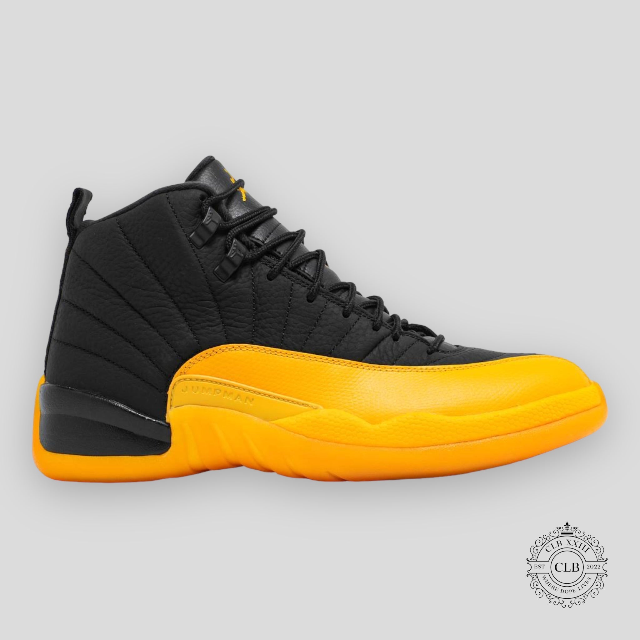 Air Jordan 12 Retro University Gold