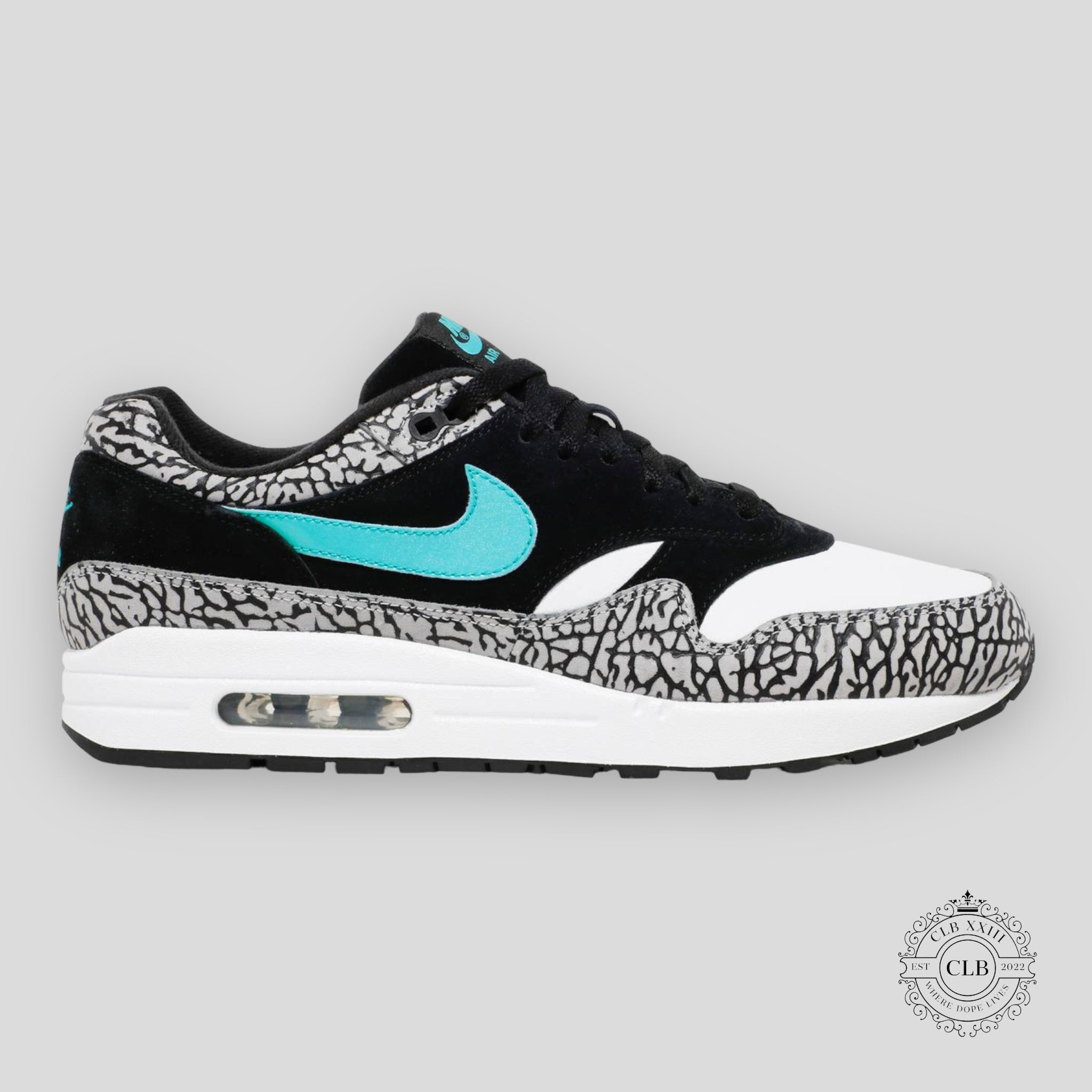Nike Air Max 1 Retro x Atmos Elephant 2017