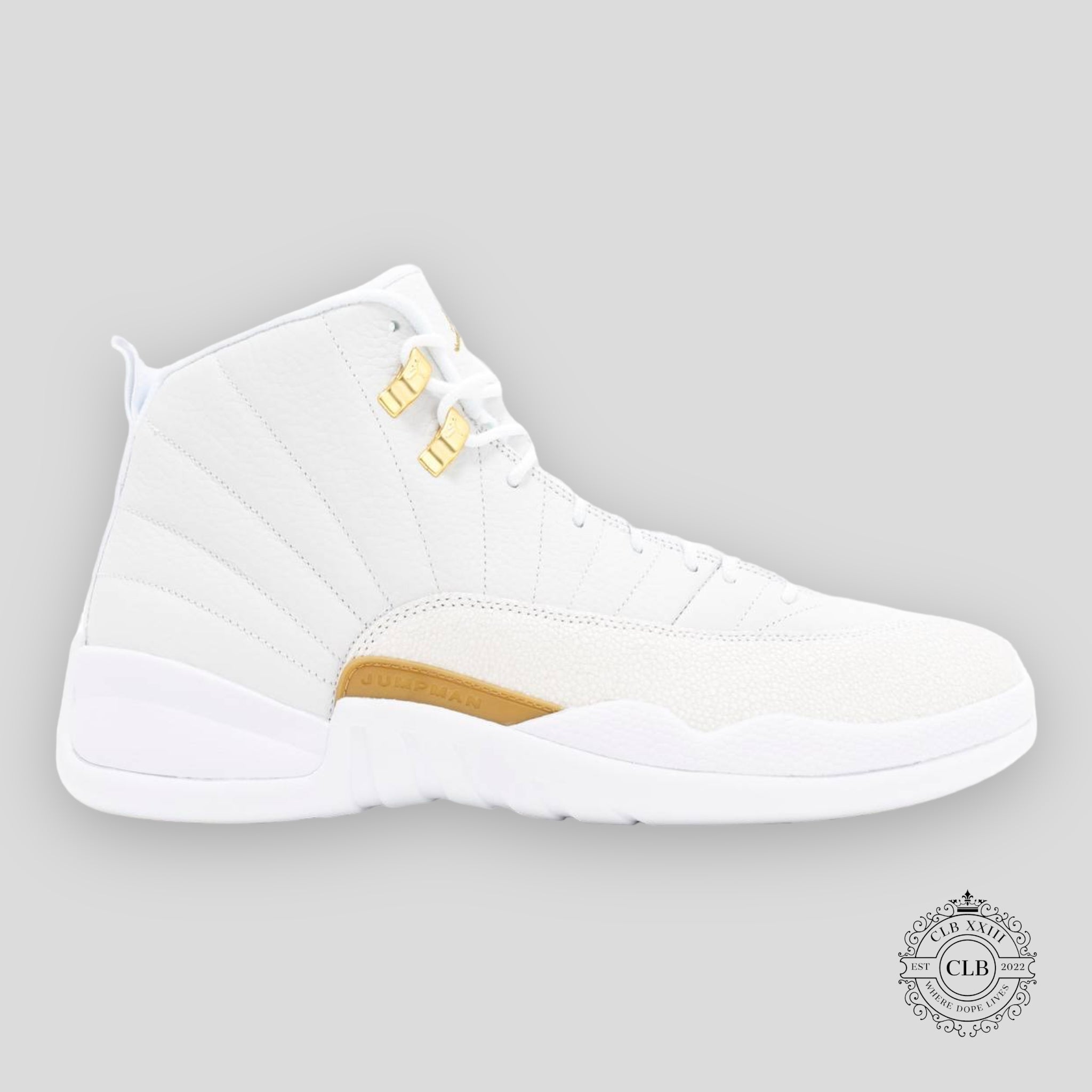 Air Jordan 12 Retro x OVO White
