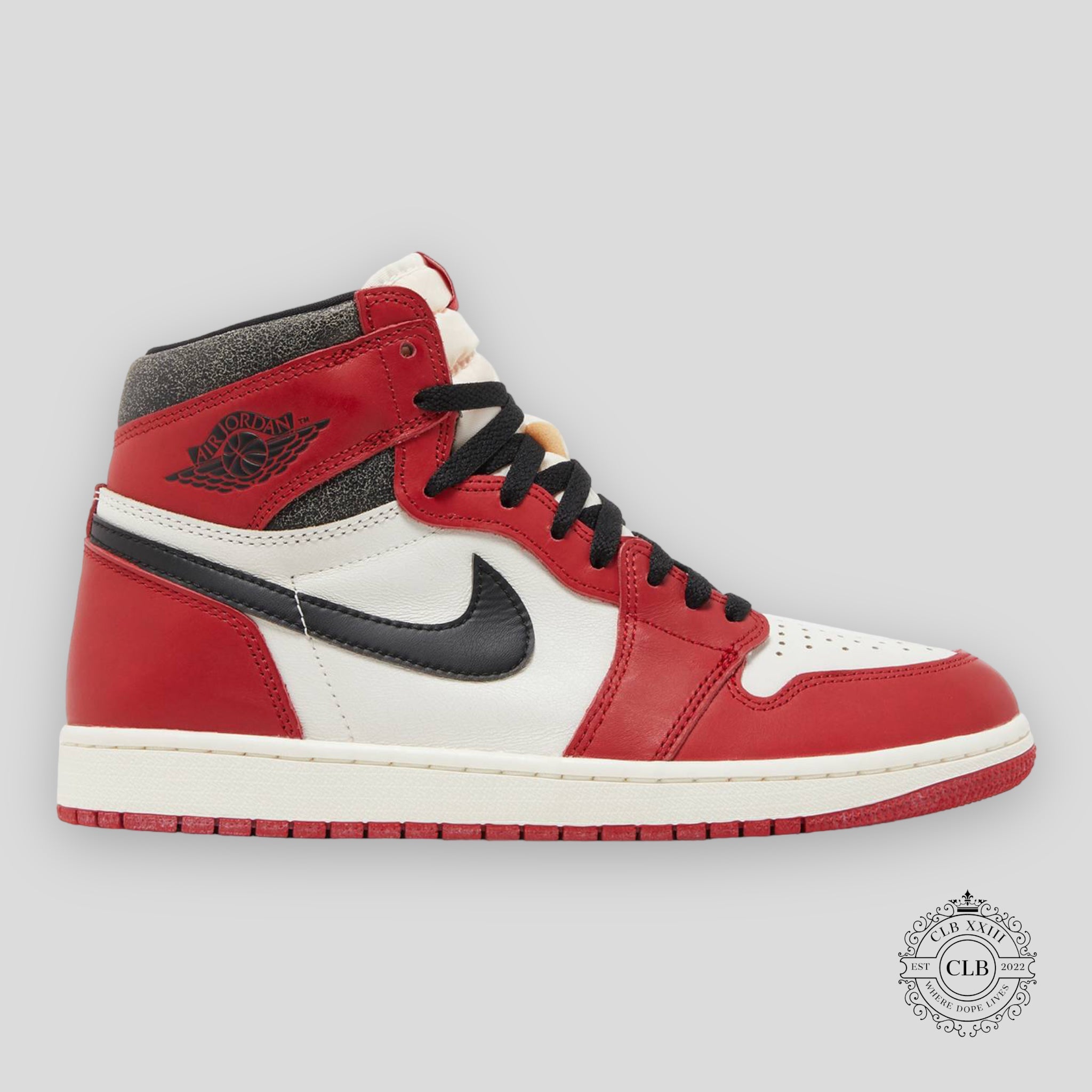 Air Jordan 1 Retro High OG Lost & Found