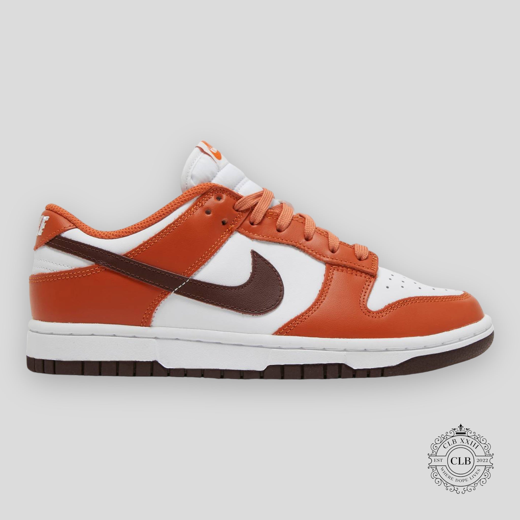 Nike Dunk Low W Bronze Eclipse