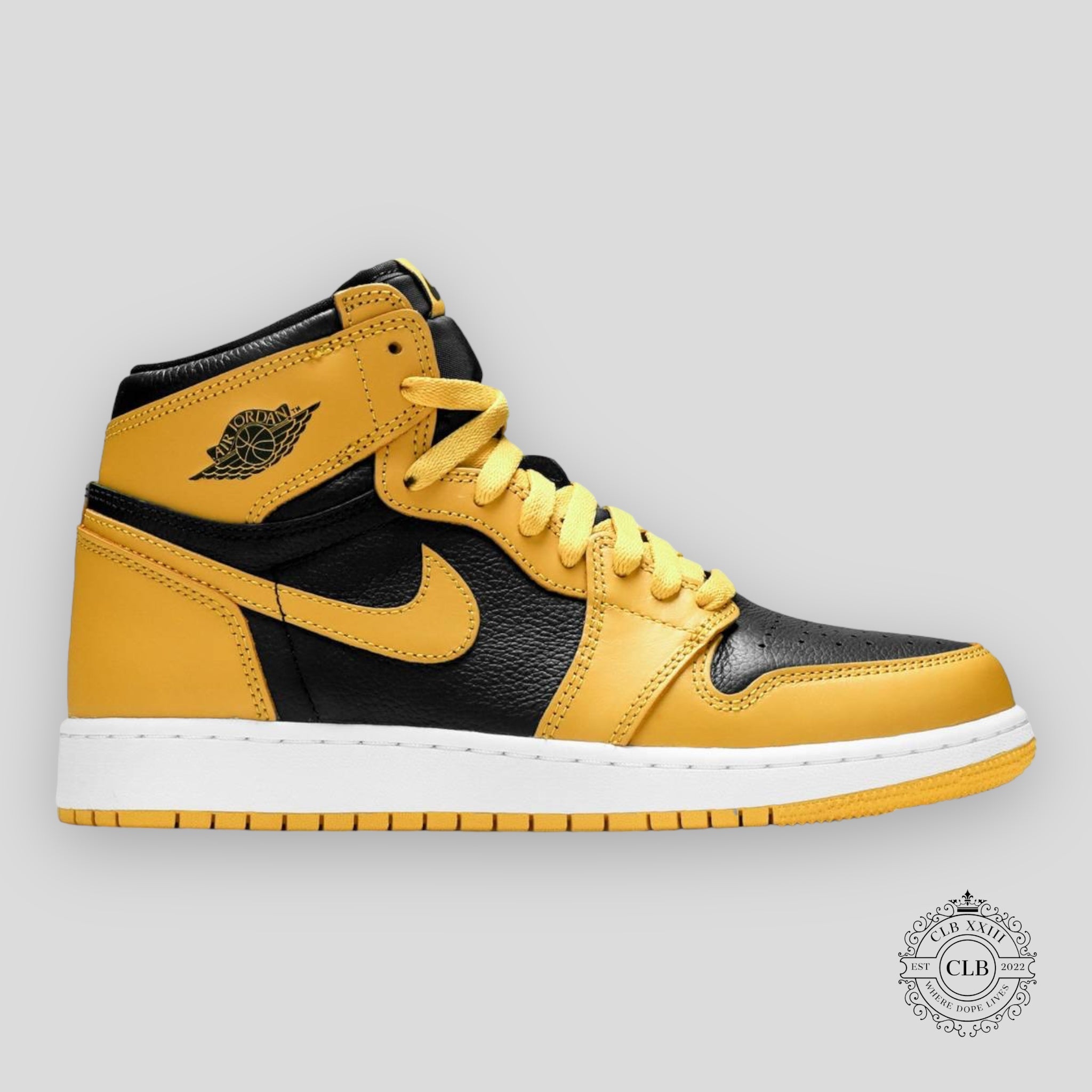 Air Jordan 1 Retro High OG GS Pollen