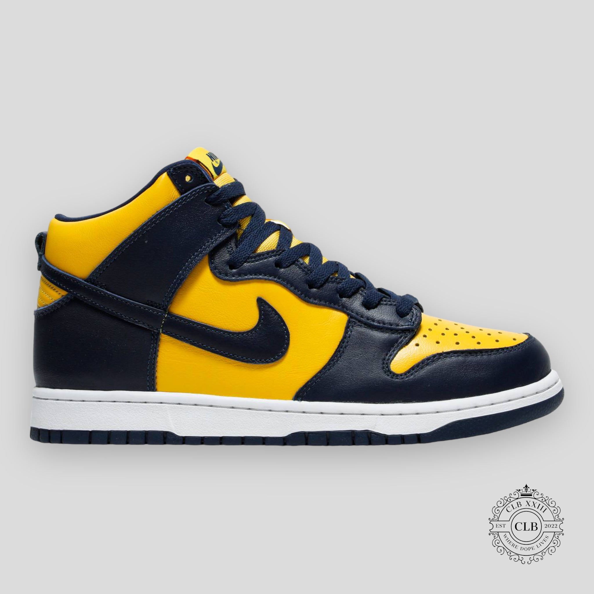 Nike Dunk High Michigan