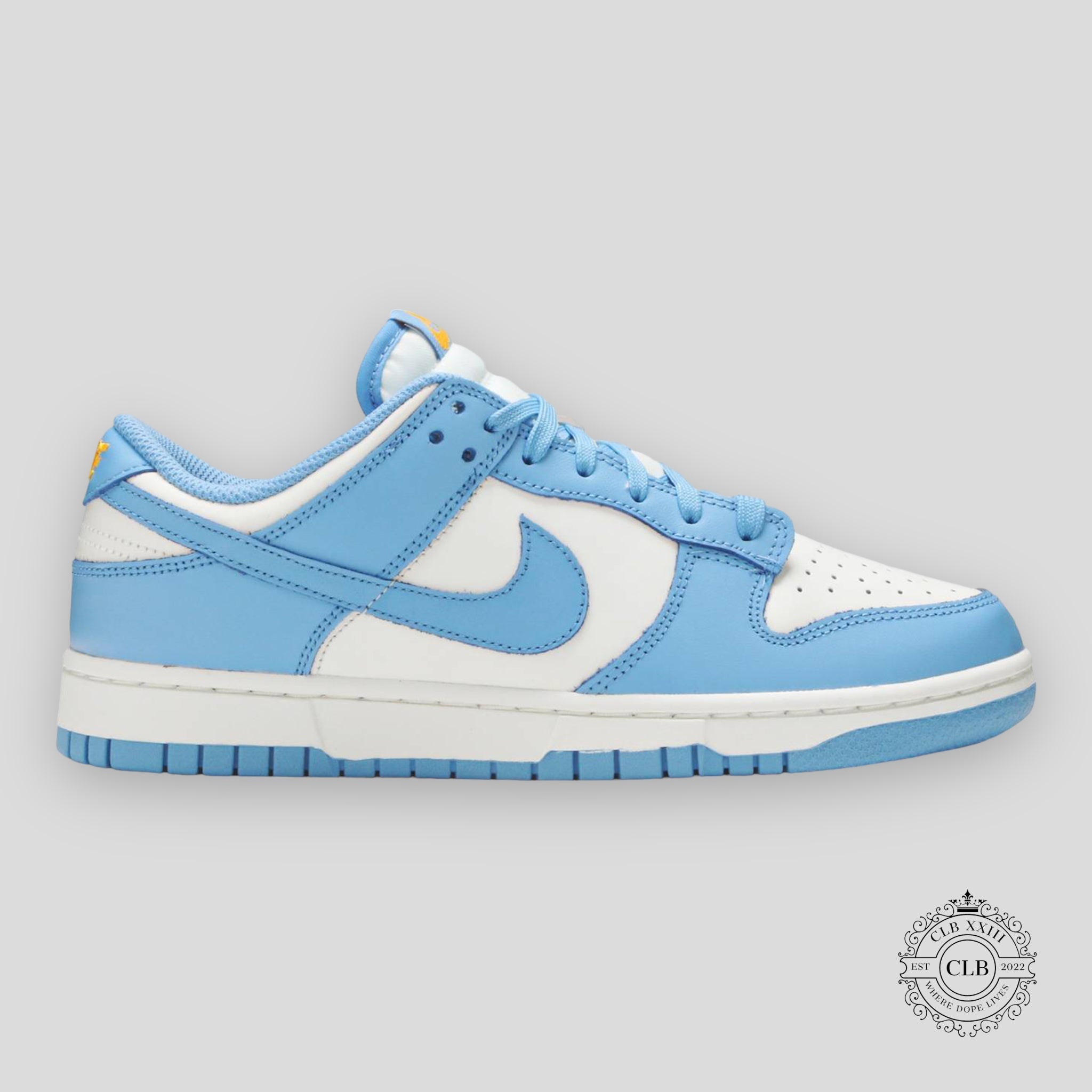 Nike Dunk Low W UNC Coast