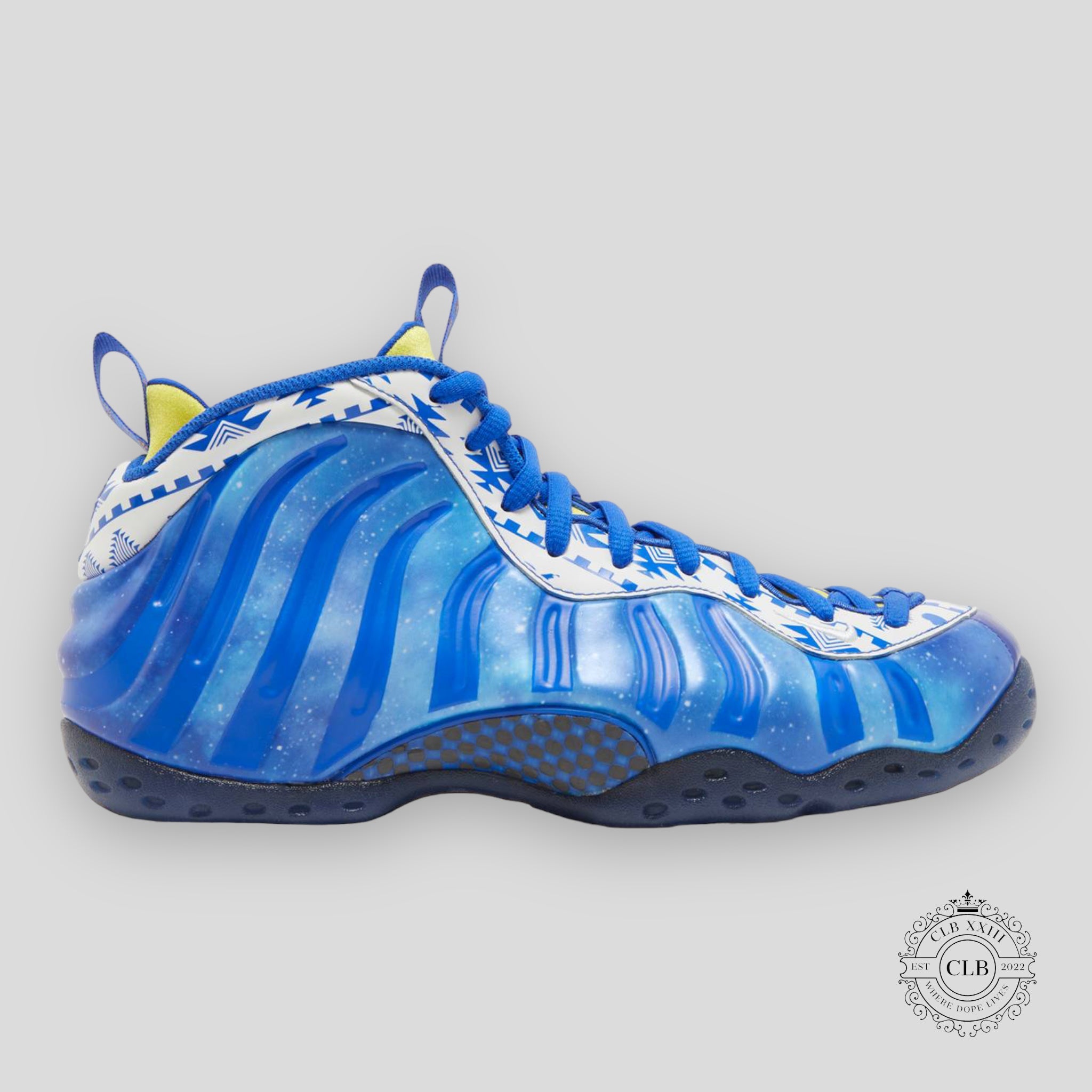 Nike Air Foamposite One Doernbecher 2023