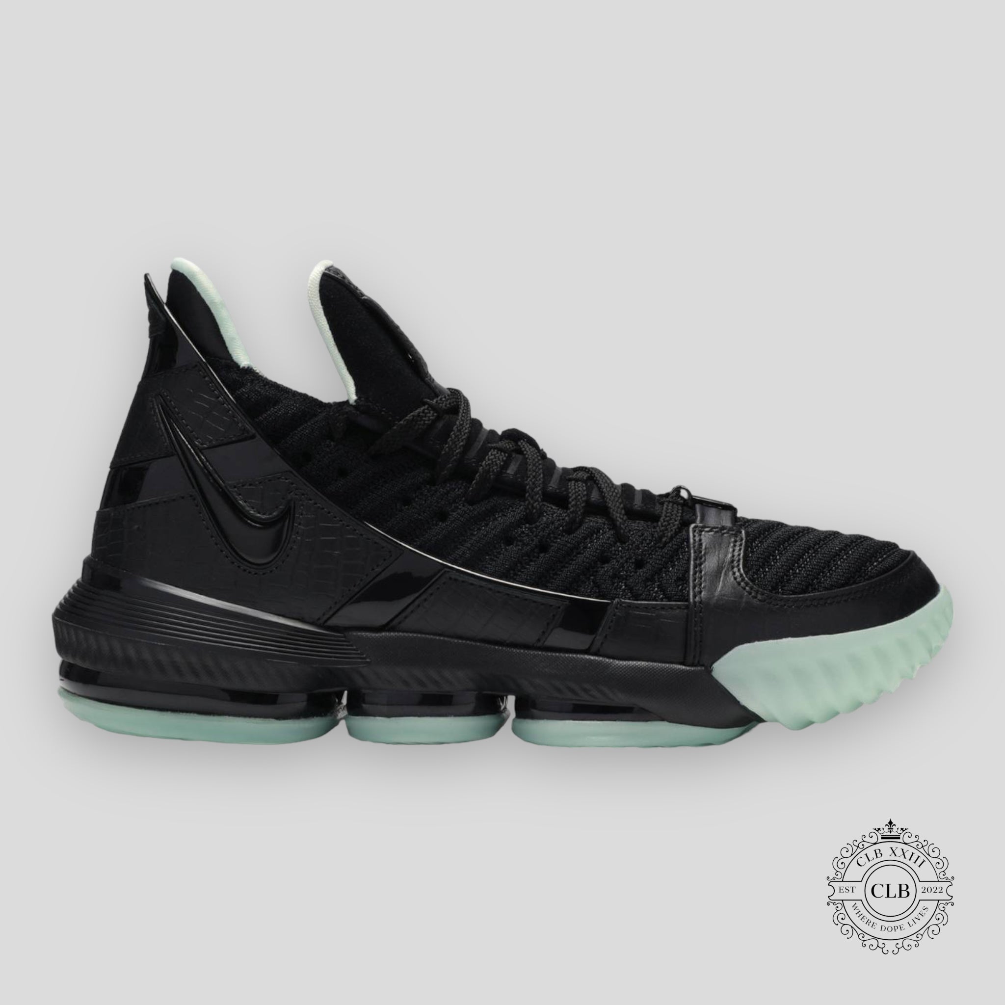 Nike Lebron Xvi Glow