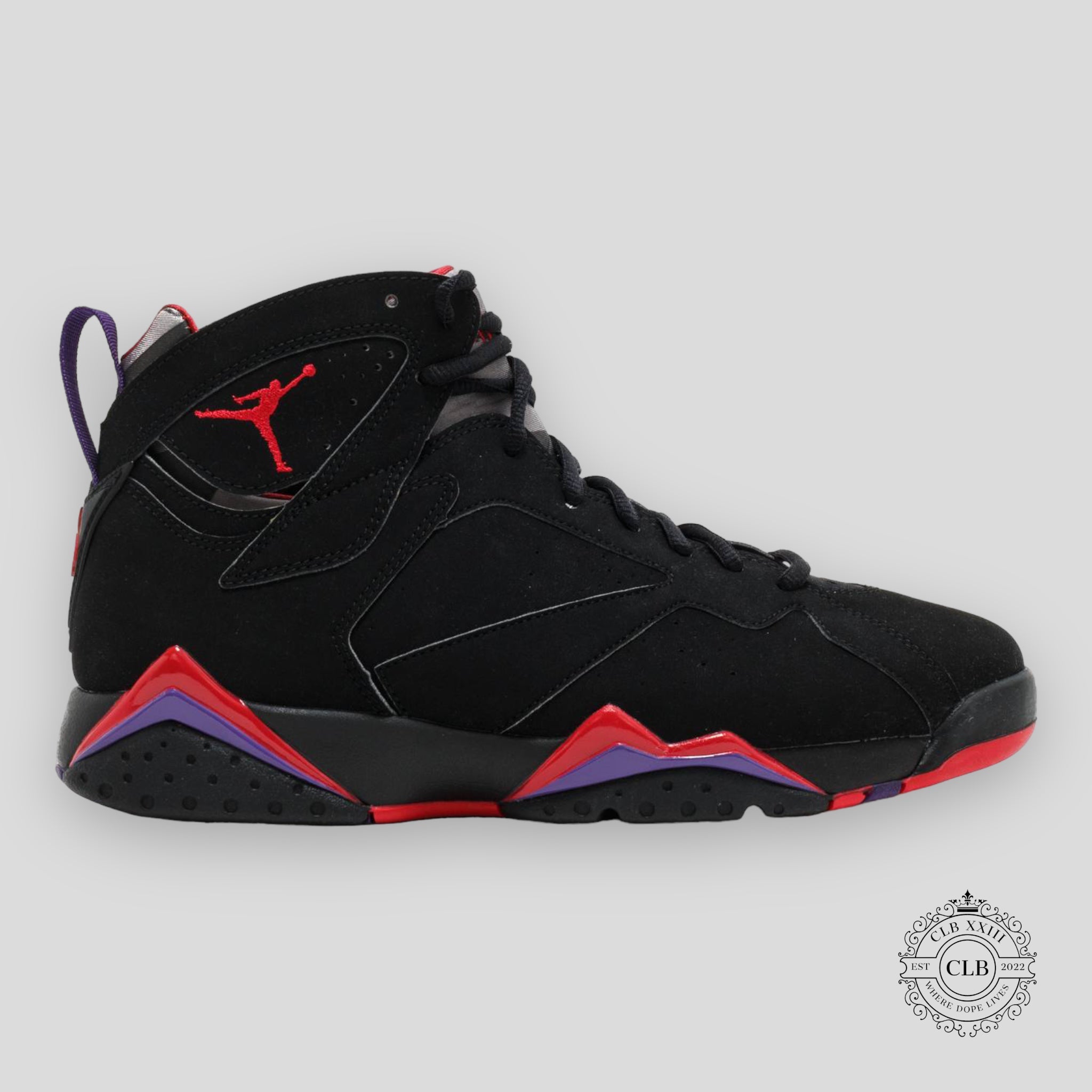 Air Jordan 7 Retro Raptor 2012