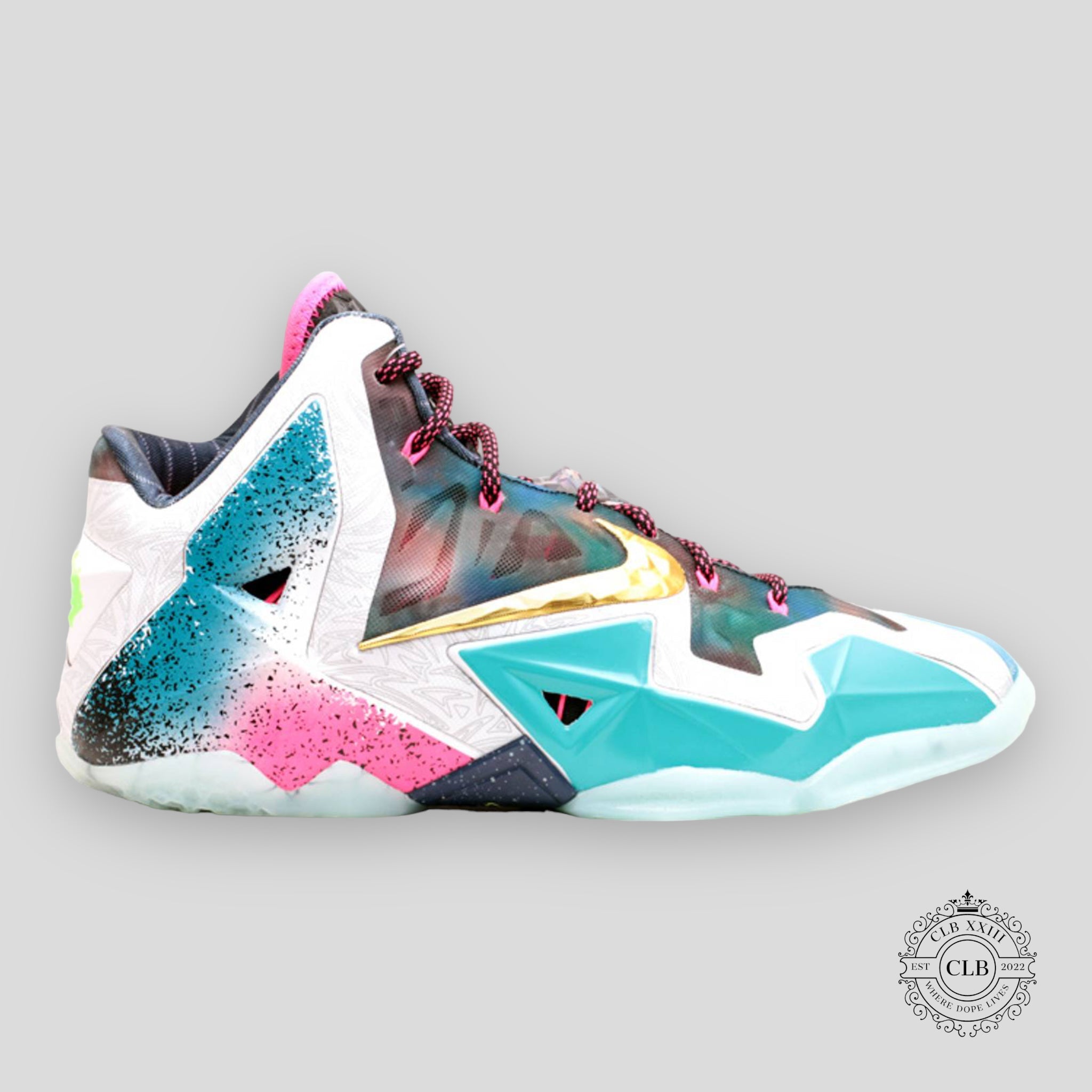 Nike Lebron Xi What the