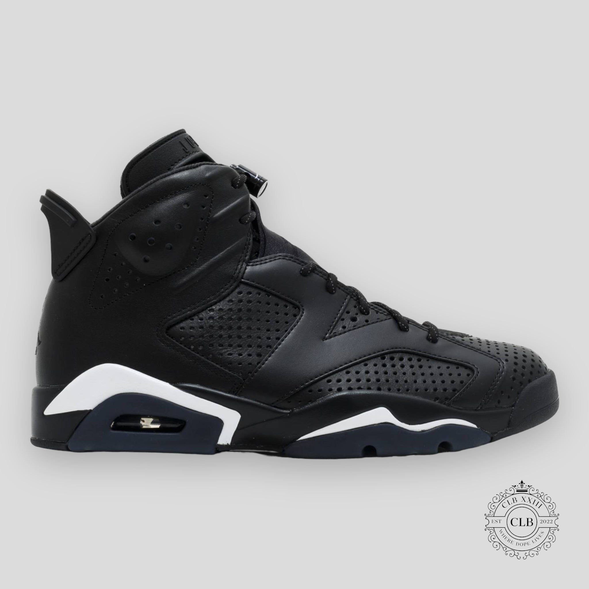 Air Jordan 6 Retro Black Cat