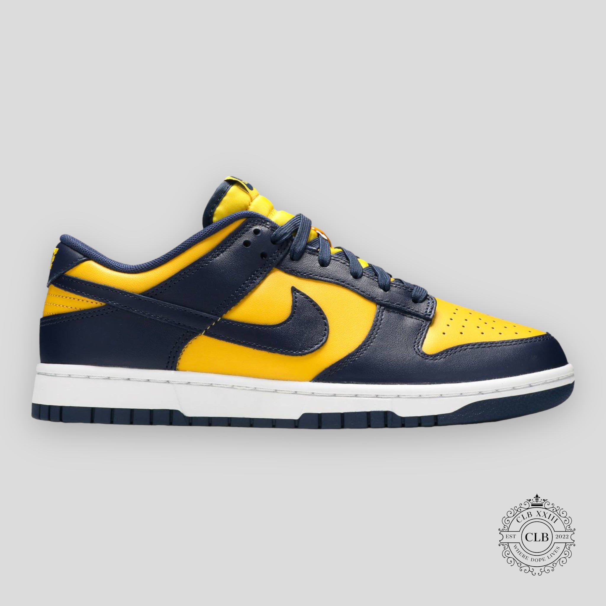 Nike Dunk Low Michigan